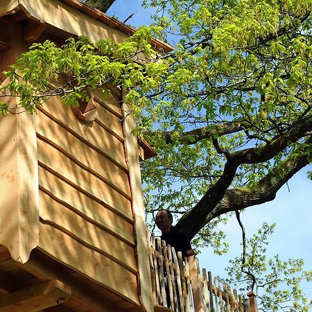 La Cabane Du Vieux Chene Susmiou Buitenkant foto