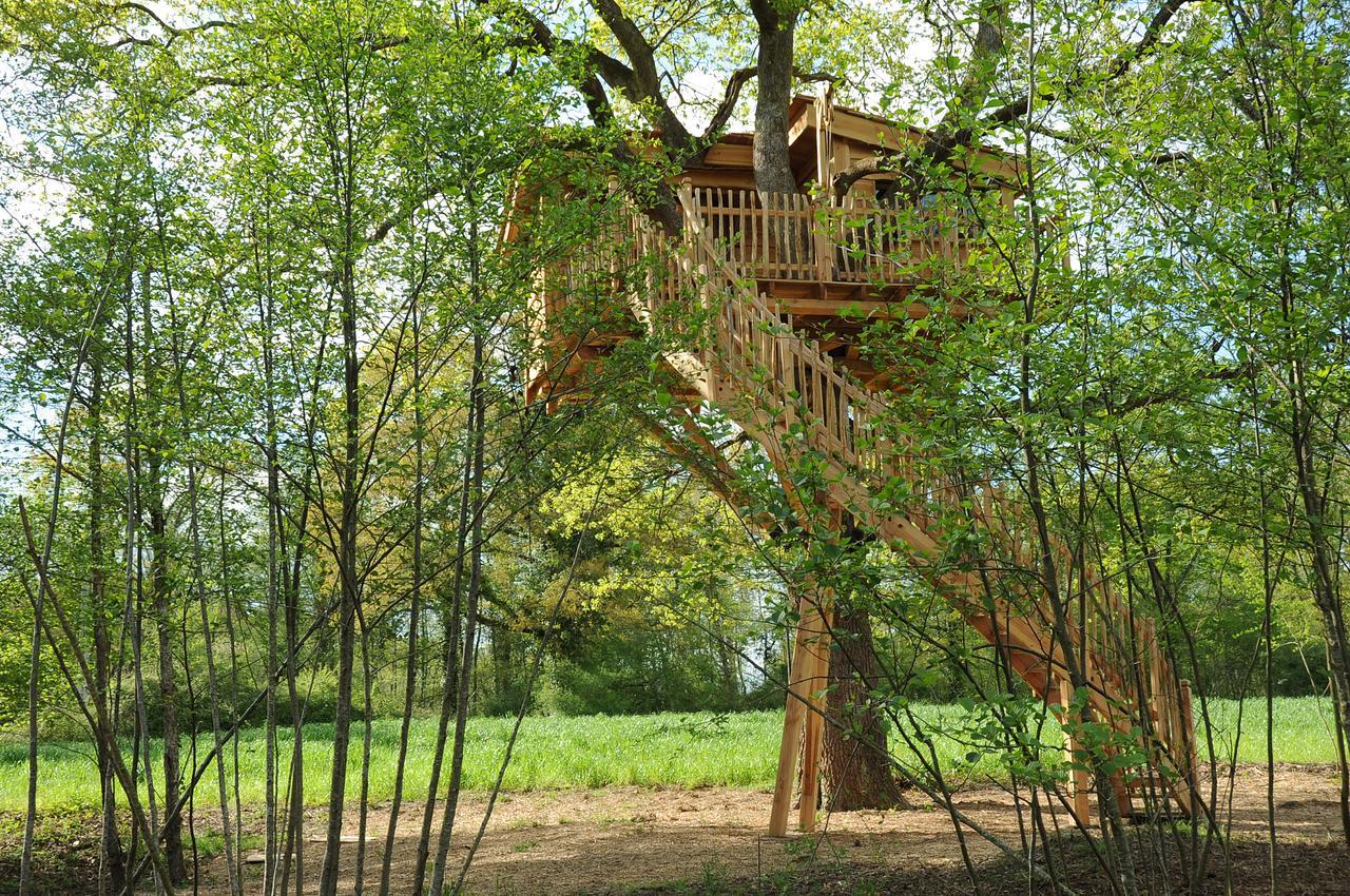 La Cabane Du Vieux Chene Susmiou Buitenkant foto